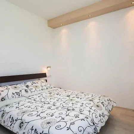 Carso Olea A2 *