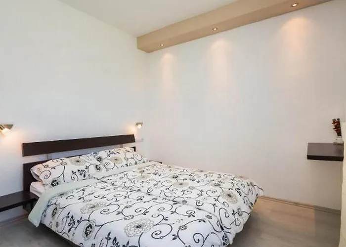 Carso Olea A2 *