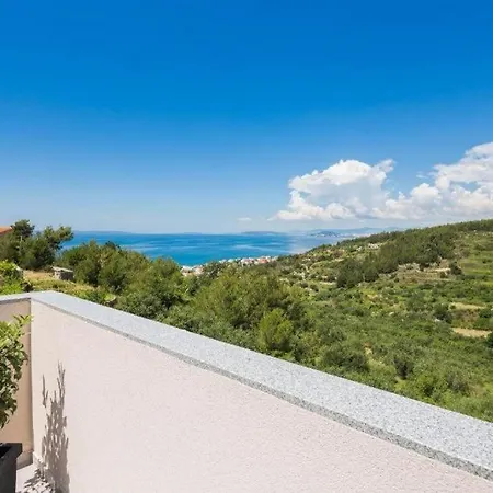 Carso Olea A2 *
