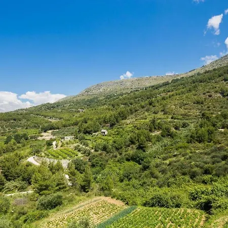 Carso Olea A2 Podstrana