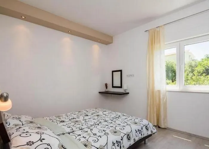 Carso Olea A2 *