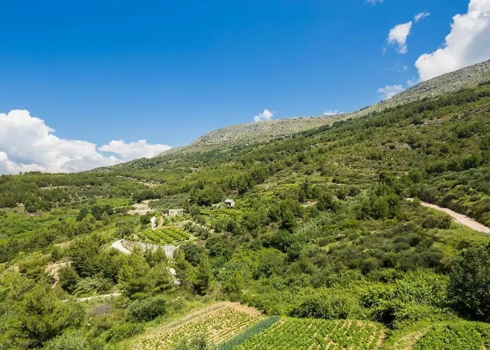 Carso Olea A2 Podstrana